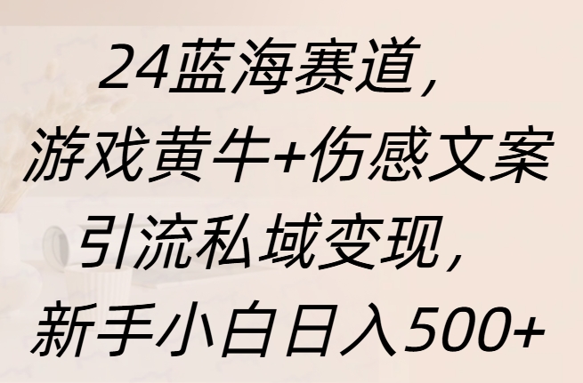 24蓝海赛道，游戏黄牛+伤感文案引流私域变现，新手日入500+-知墨网