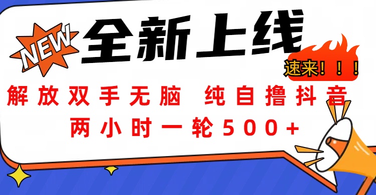 解放双手无脑 纯自撸抖音 两小时一轮500+-知墨网