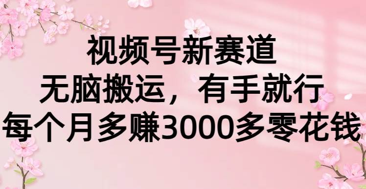 视频号新赛道，无脑搬运，有手就行，每个月多赚3000多零花钱-知墨网